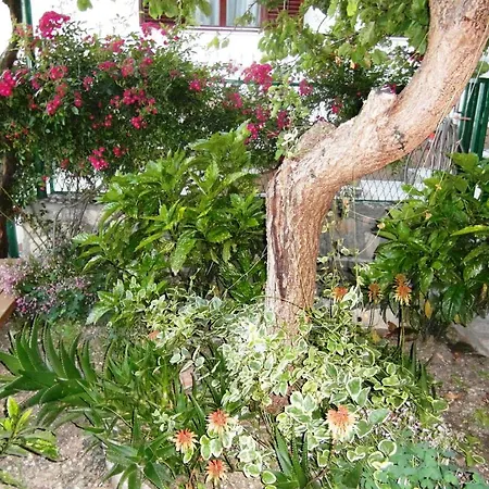 Apartments Podstrana * Podstrana